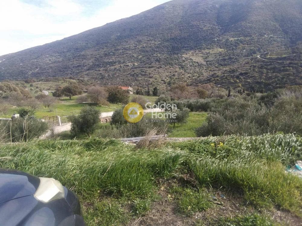 Οικόπεδο στην Μεσαριά, Άνδρος — Φωτογραφία 1 από 5