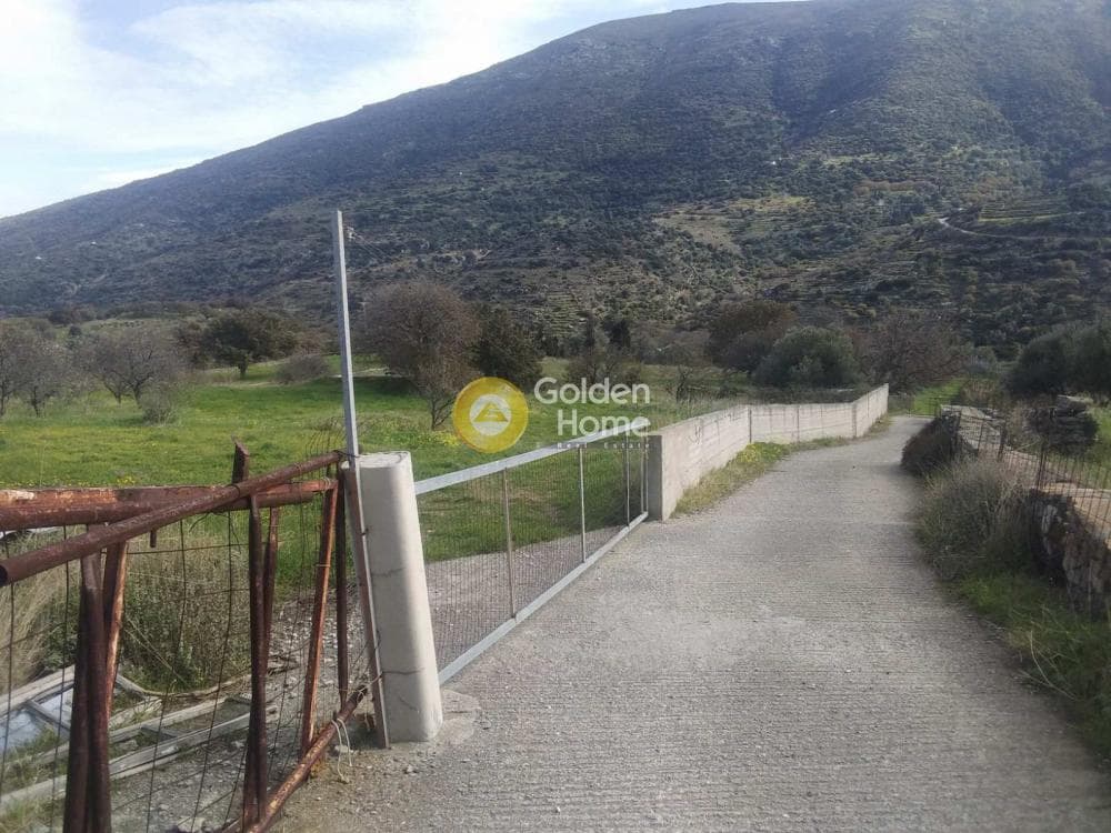 Οικόπεδο στην Μεσαριά, Άνδρος — Φωτογραφία 3 από 5