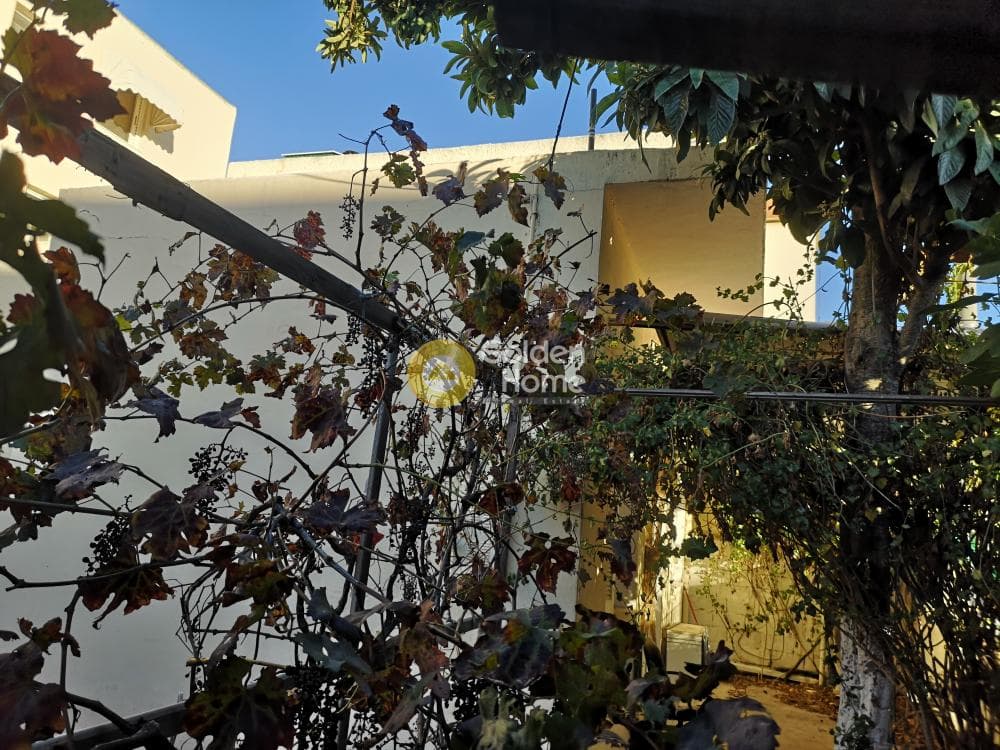 House in Pirgouthi, Acharnes — Photo 3 of 4