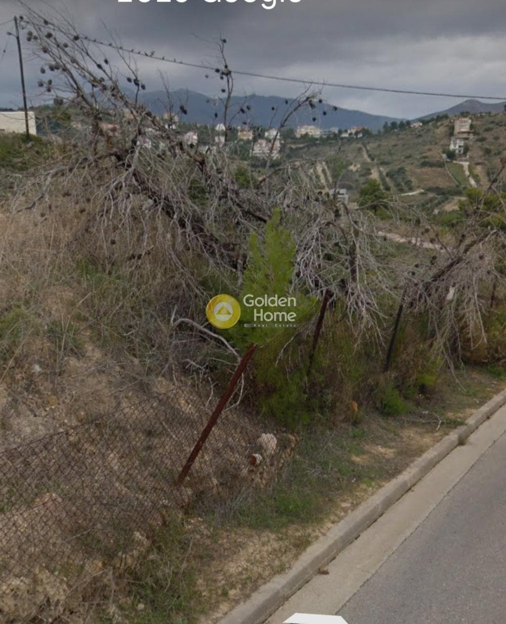 Building Plot in Nea Pallini, Pallini — Photo 3 of 5