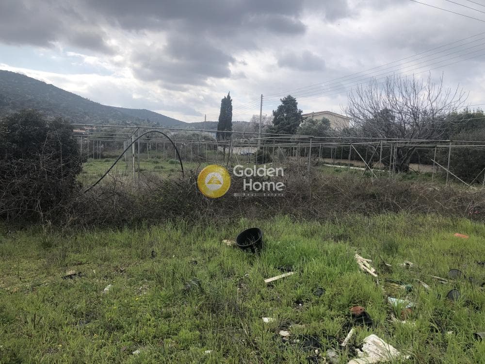 Οικόπεδο στην Λεωφ. Βάρης Κορωπίου, Κορωπί — Φωτογραφία 2 από 6