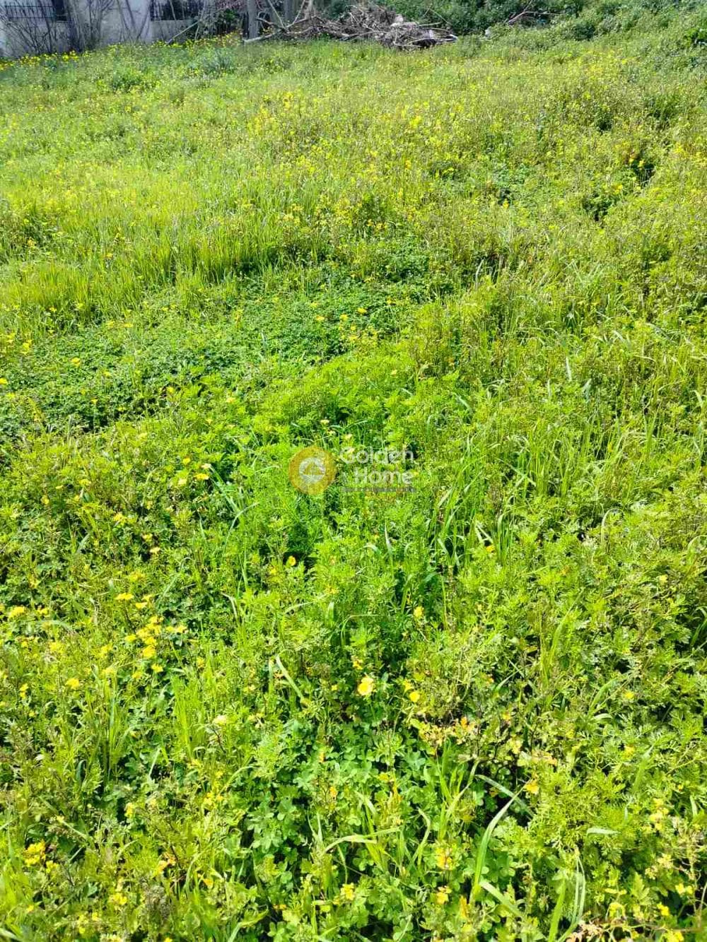 Building Plot in Rodia, Gazi — Photo 3 of 4