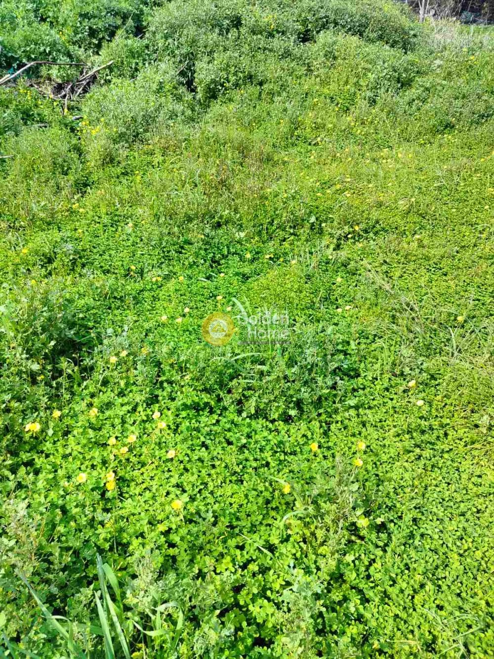 Building Plot in Rodia, Gazi — Photo 4 of 4