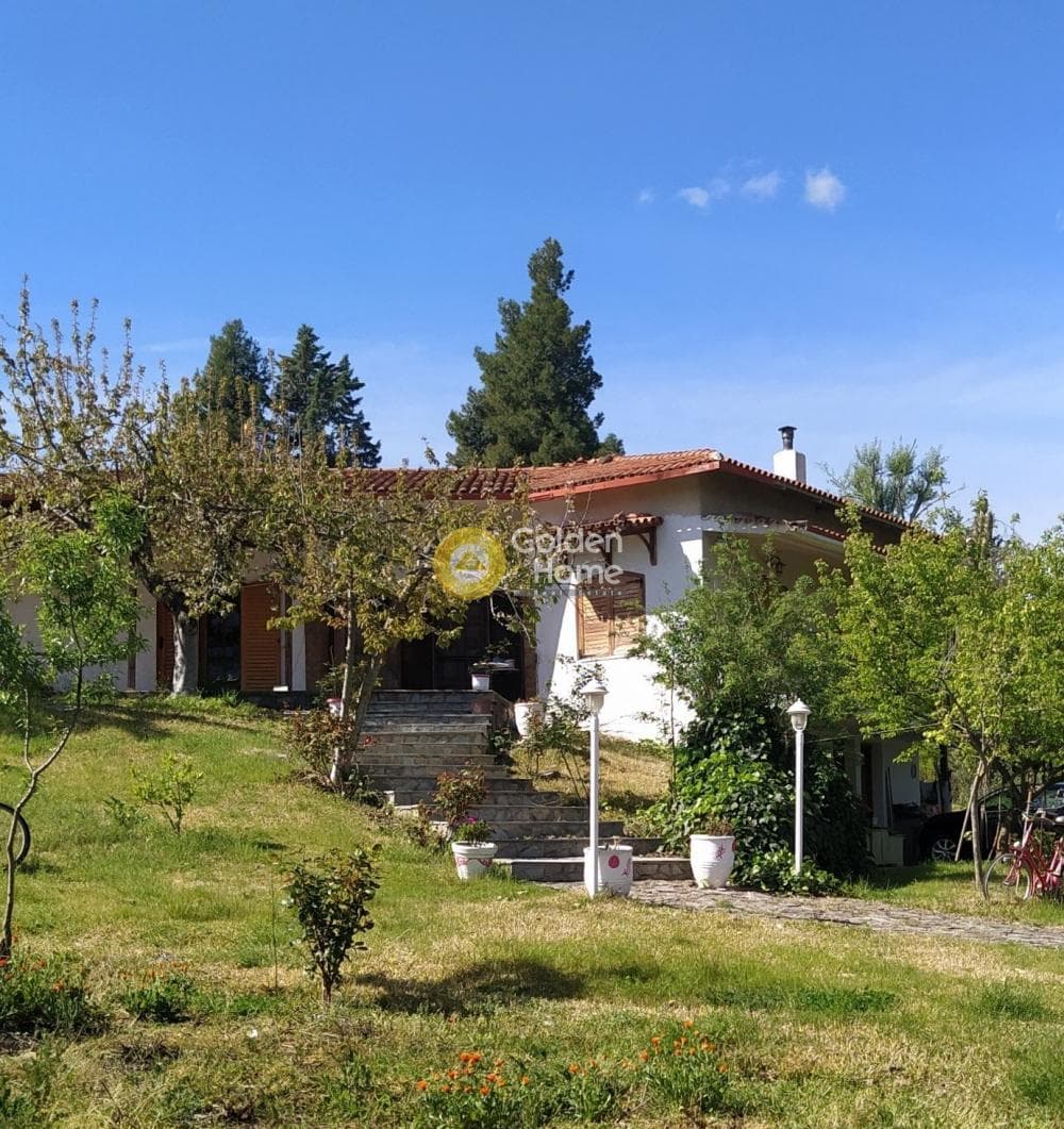 Μονοκατοικία στην Λαφύστι, Λιβαδειά — Φωτογραφία 2 από 22