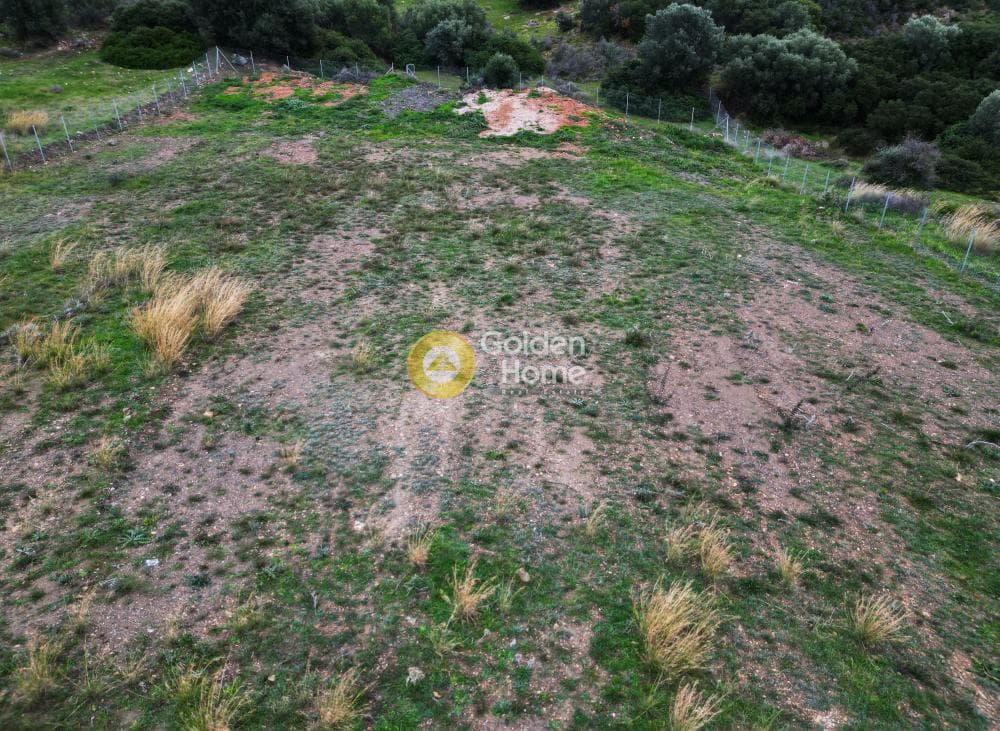 Αγροτεμάχιο στην Καλύβια, Αρκαλοχώρι — Φωτογραφία 5 από 7