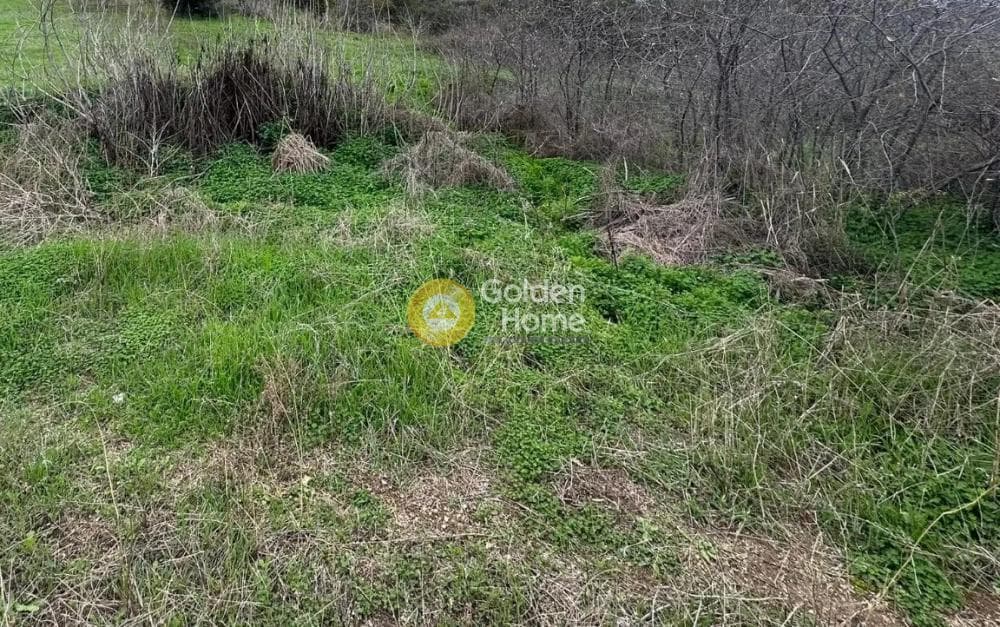Οικόπεδο στην Κάτω Αρχάνες, Αρχάνες