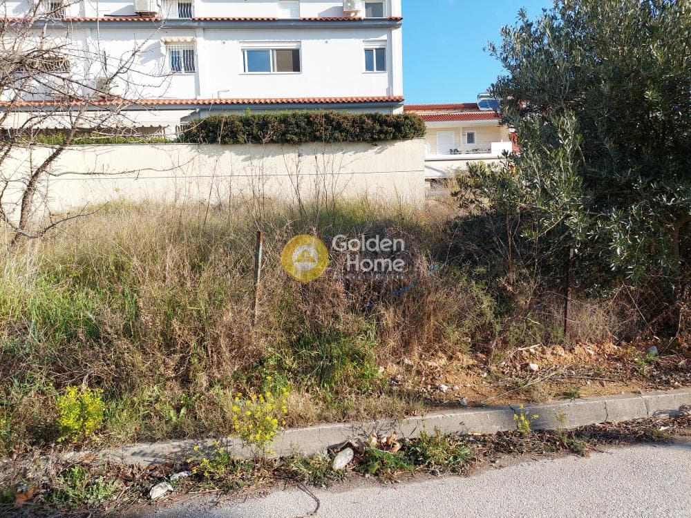 Building Plot in Mpalana, Gerakas — Photo 2 of 5