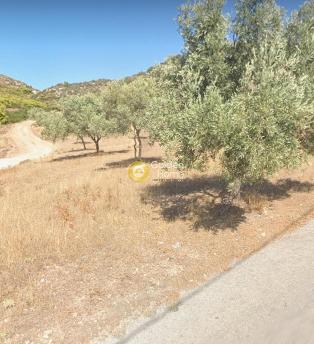 Οικόπεδο στην Ελαιοχώρι, Λαύριο — Φωτογραφία 1 από 3
