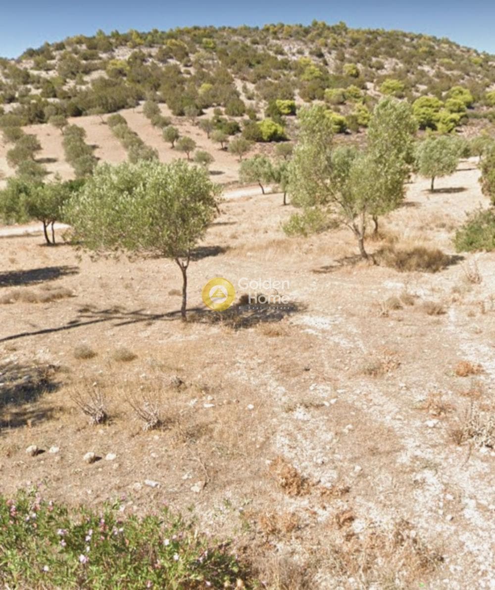 Οικόπεδο στην Ελαιοχώρι, Λαύριο — Φωτογραφία 3 από 3