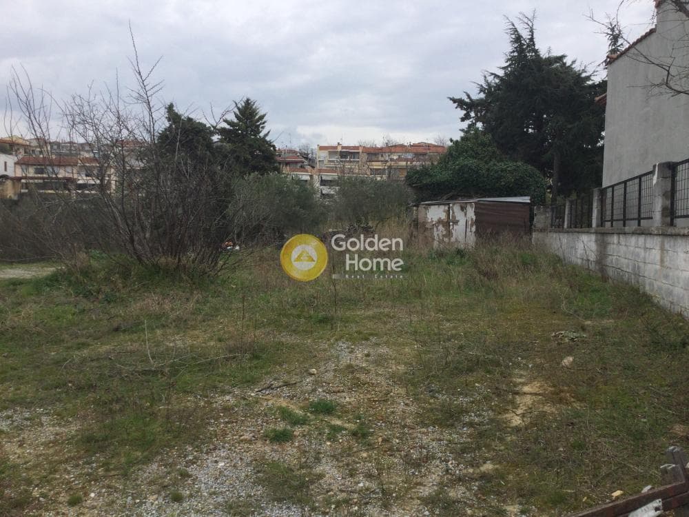 House in Trilofo, Mikra — Photo 1 of 15