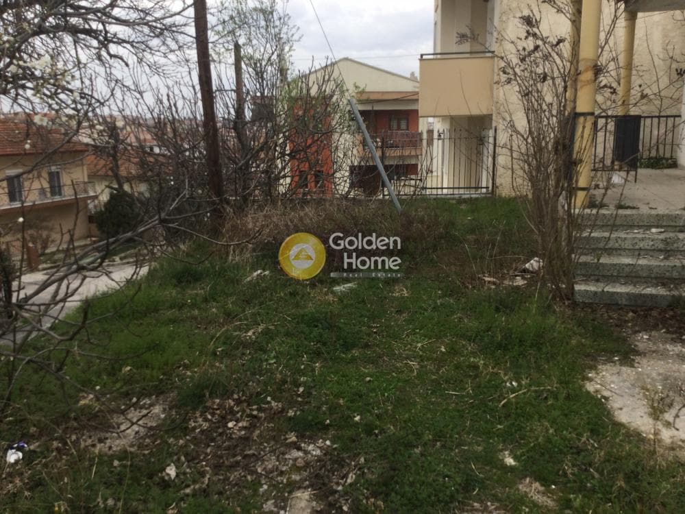 House in Trilofo, Mikra — Photo 5 of 15