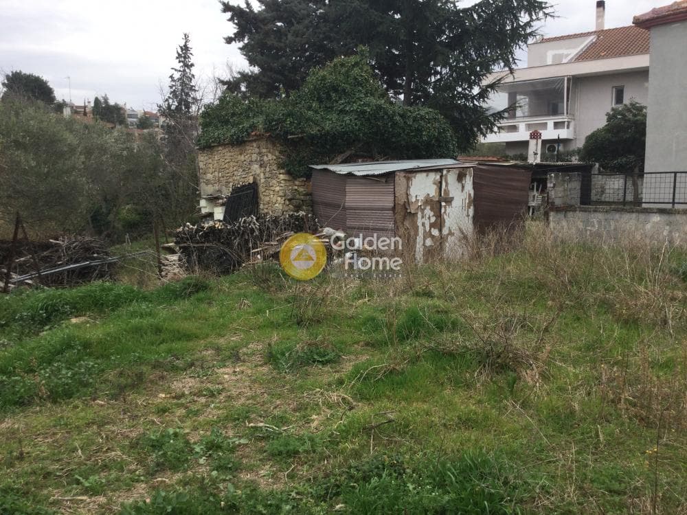 House in Trilofo, Mikra — Photo 6 of 15