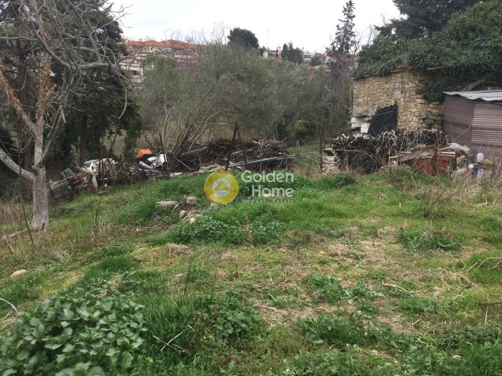 House in Trilofo, Mikra — Photo 7 of 15