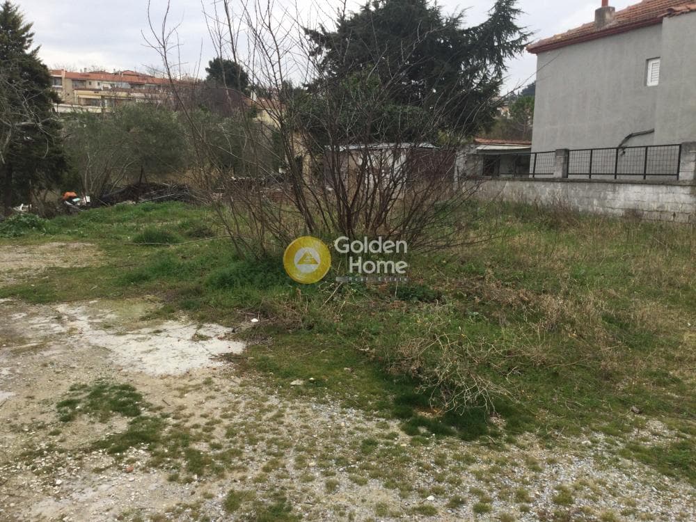 House in Trilofo, Mikra — Photo 8 of 15