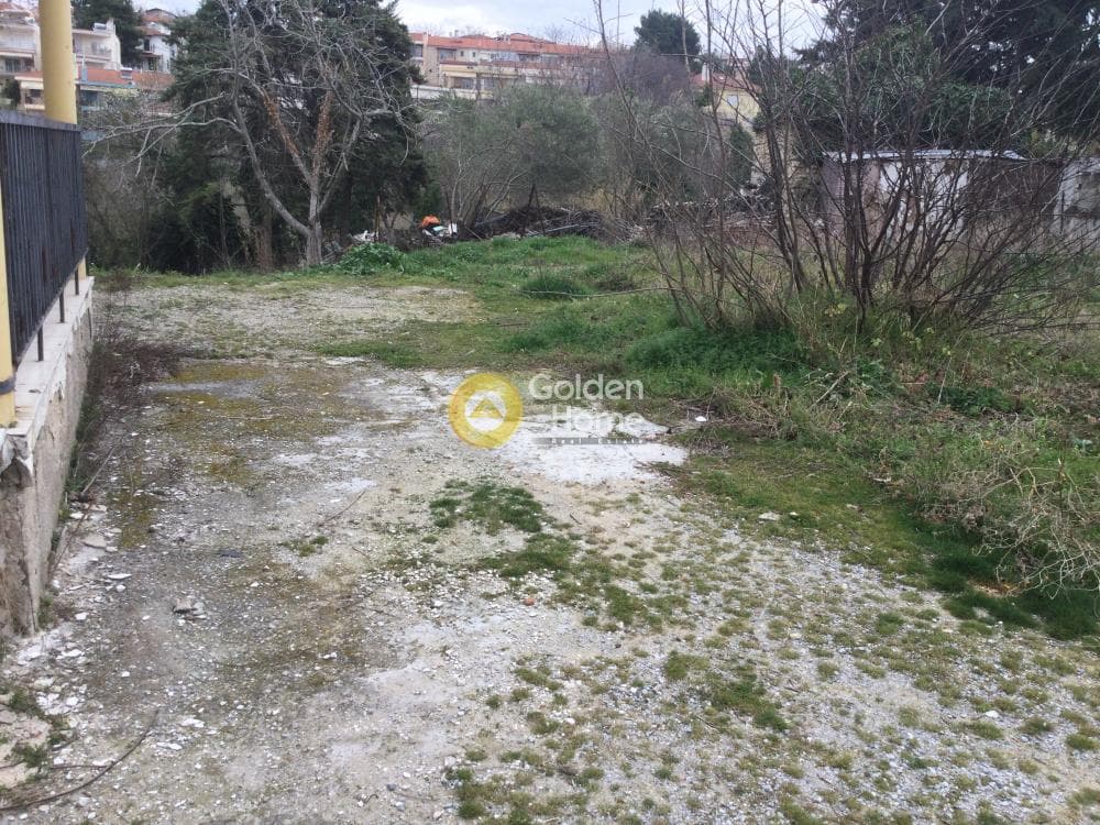House in Trilofo, Mikra — Photo 11 of 15