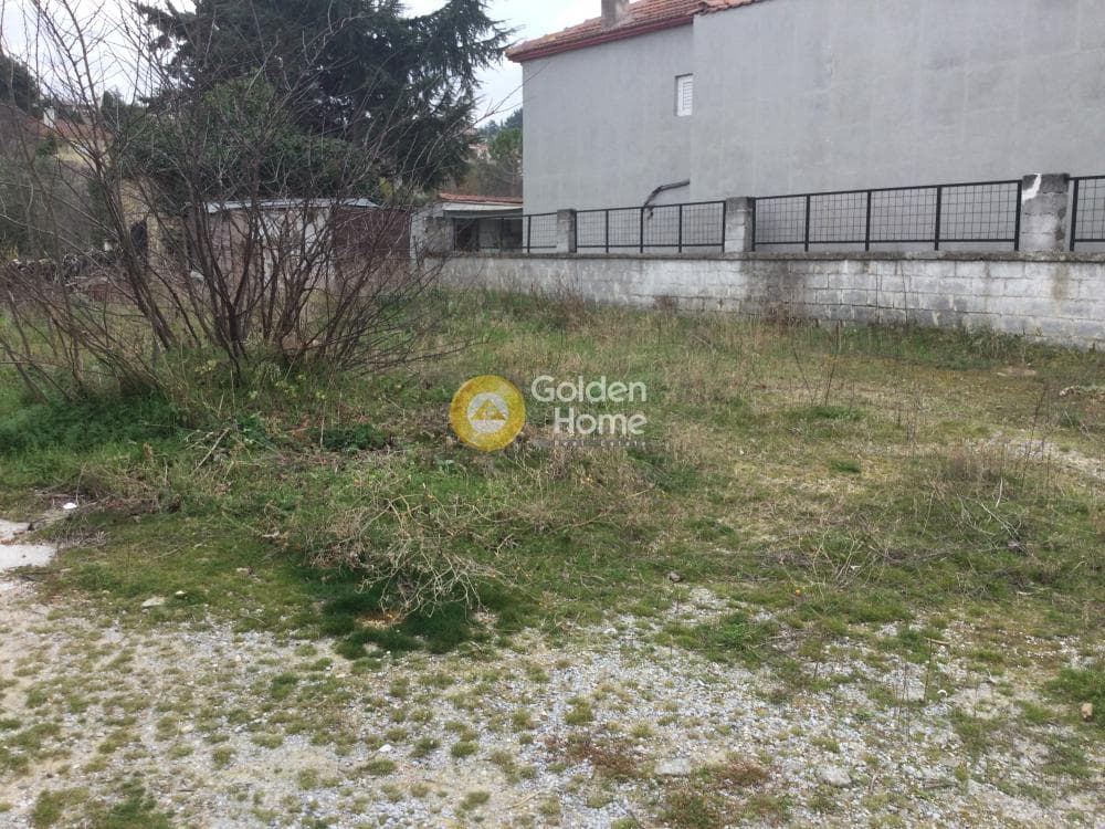 House in Trilofo, Mikra — Photo 12 of 15