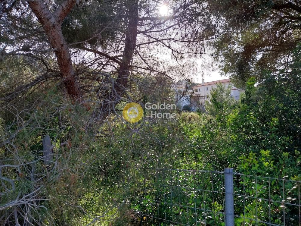 Building Plot in ATE, Anavissos — Photo 4 of 7