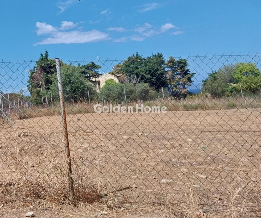 Building Plot in Proteas, Rafina — Photo 2 of 2