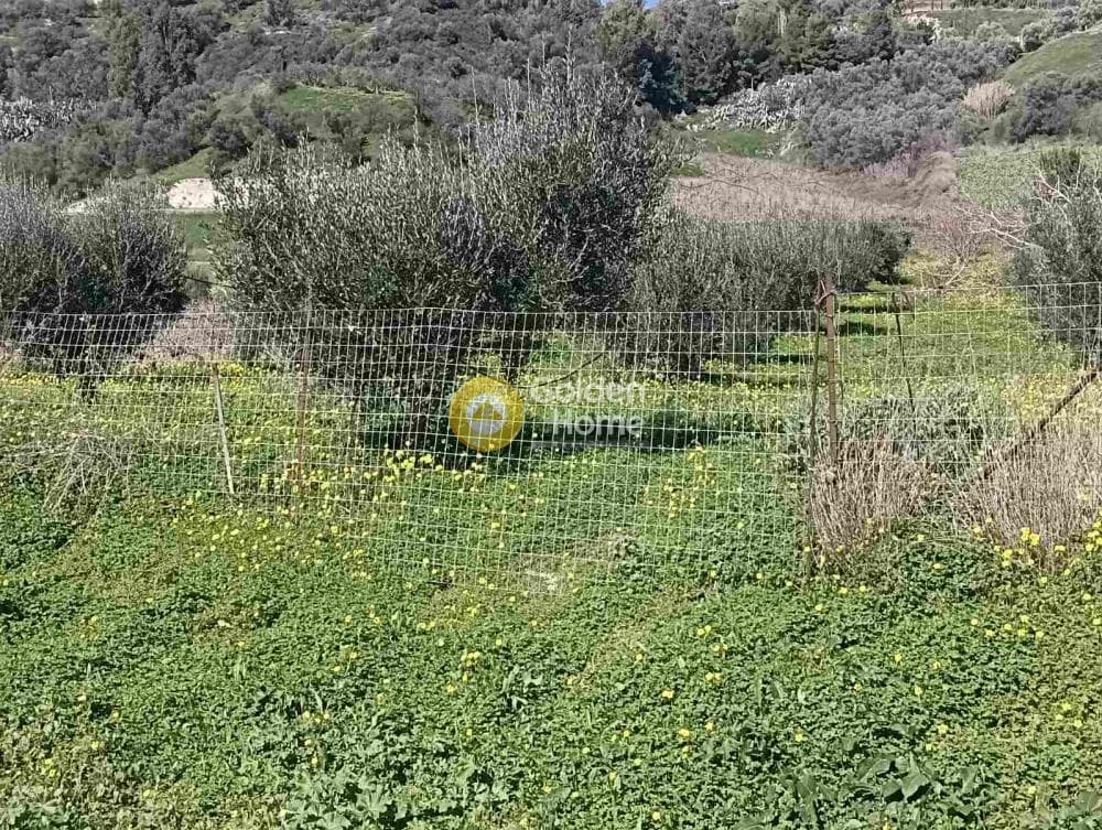 Οικόπεδο στην Σταυράκια, Τετραχώρι — Φωτογραφία 3 από 4