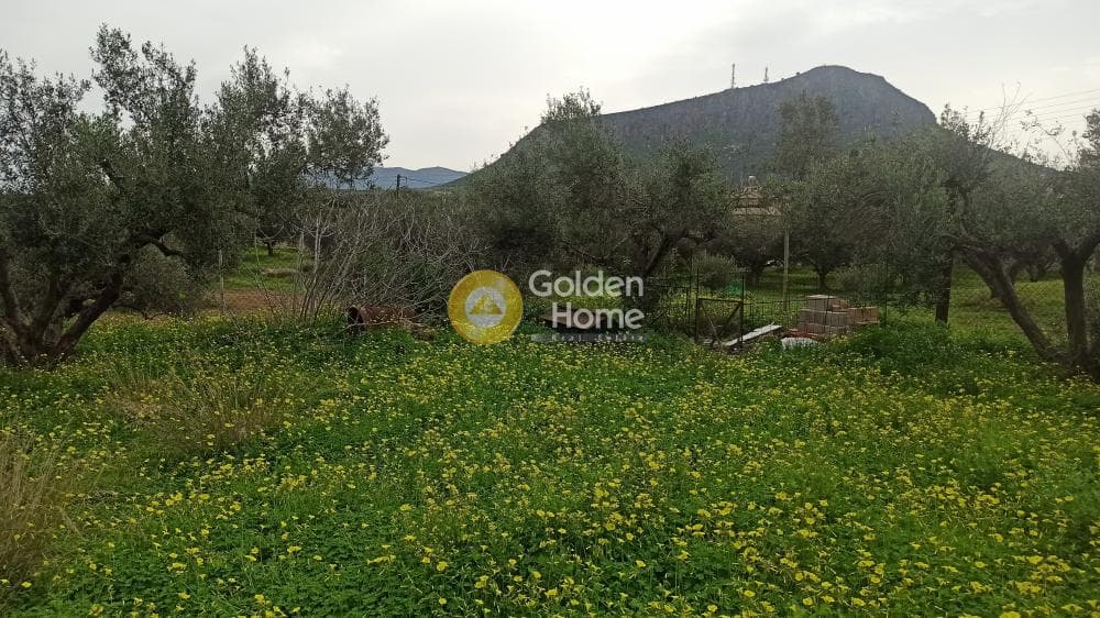 Οικόπεδο στην Κάτω Γούβες, Γούβες — Φωτογραφία 4 από 4