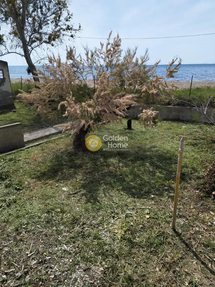 Μονοκατοικία στην Υψηλά Αλώνια, Πάτρα — Φωτογραφία 13 από 13