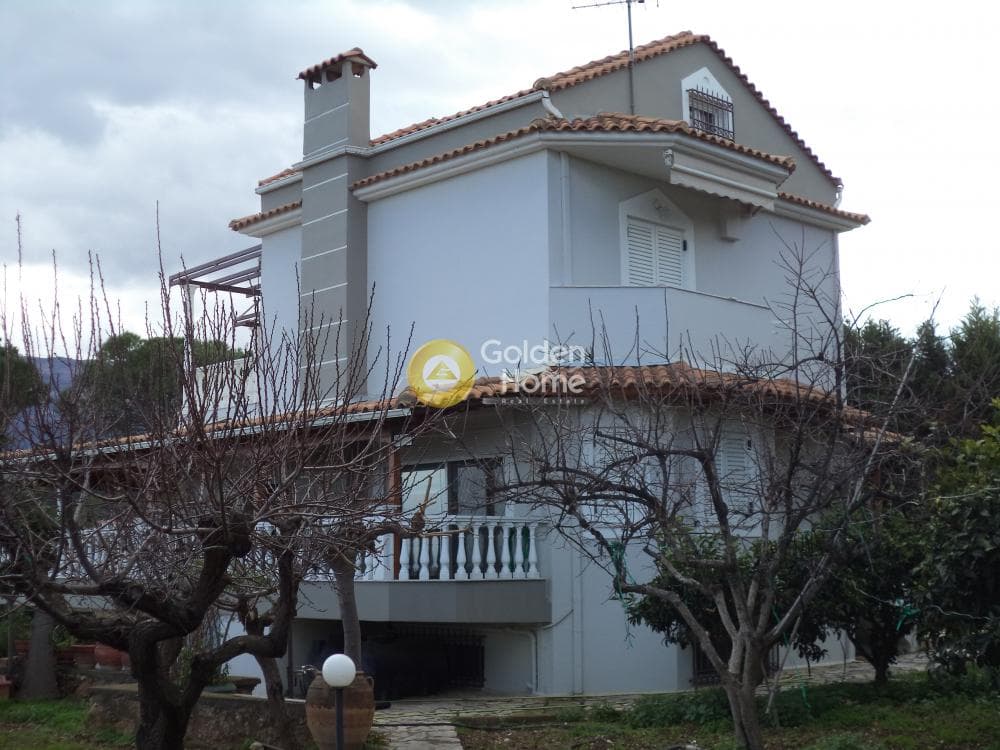 Μονοκατοικία στην Συλιβαινιώτικα, Ακράτα — Φωτογραφία 4 από 24