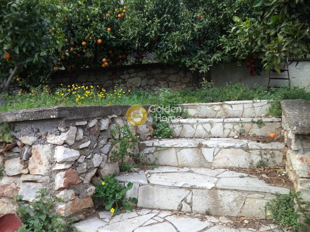 Μονοκατοικία στην Συλιβαινιώτικα, Ακράτα — Φωτογραφία 7 από 24