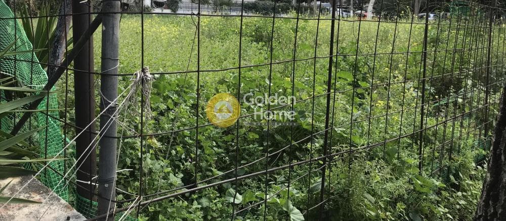 Building Plot in Osios Loukas, Patisia — Photo 2 of 2