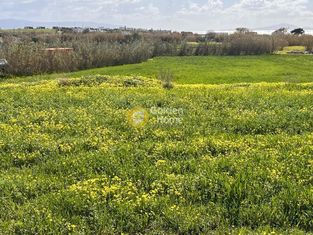 Parcel in Chrisi Akti, Paros — Photo 6 of 7