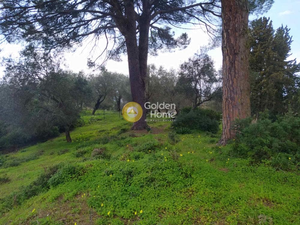 Οικόπεδο στην Όθωνοι, Κέρκυρα — Φωτογραφία 5 από 11