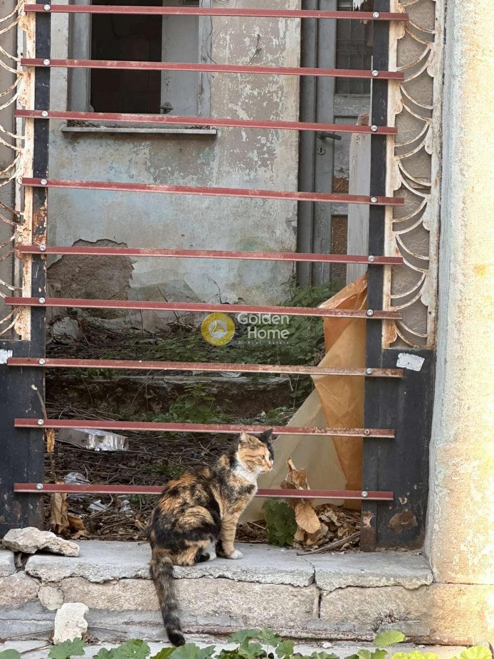 Building Plot in Maniatika, Piraeus — Photo 2 of 6