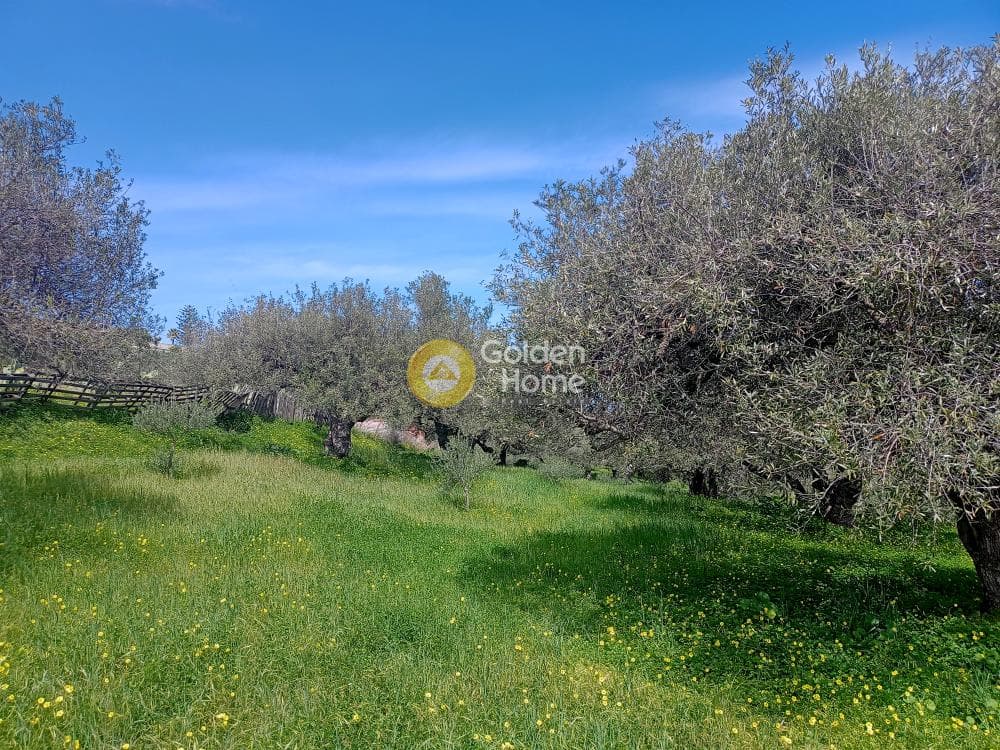 Building Plot in Fortetsa, Heraclion Cretes — Photo 2 of 2