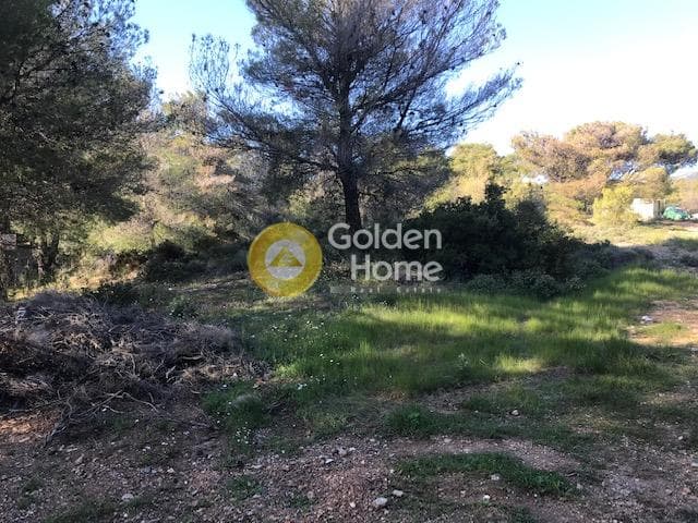 Αγροτεμάχιο στην Άλσος Κτήματος Συγγρού, Μαρούσι — Φωτογραφία 2 από 8