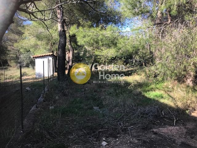 Αγροτεμάχιο στην Άλσος Κτήματος Συγγρού, Μαρούσι — Φωτογραφία 3 από 8