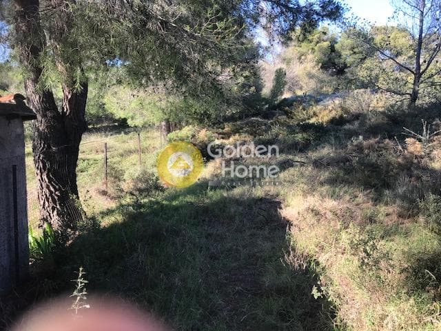 Αγροτεμάχιο στην Άλσος Κτήματος Συγγρού, Μαρούσι — Φωτογραφία 4 από 8