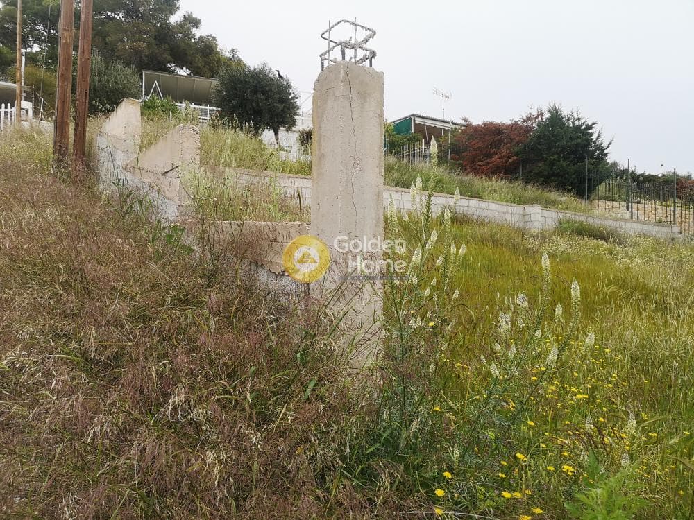Parcel in Galazia akti, Kalivia Thorikou — Photo 4 of 4