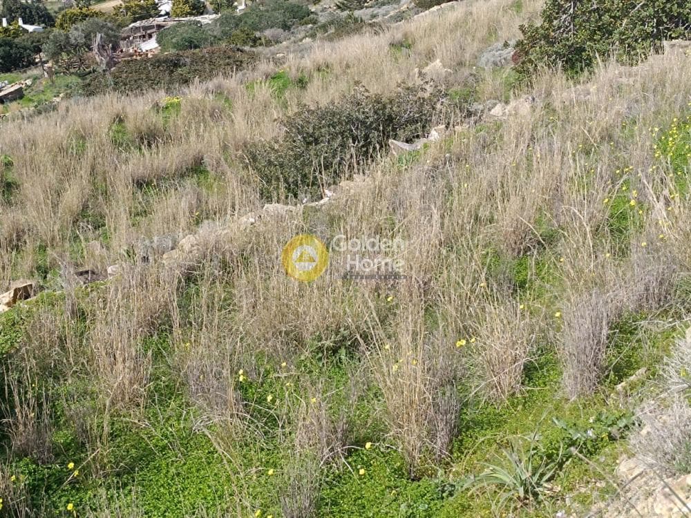 Parcel in Aliki, Paros — Photo 6 of 6