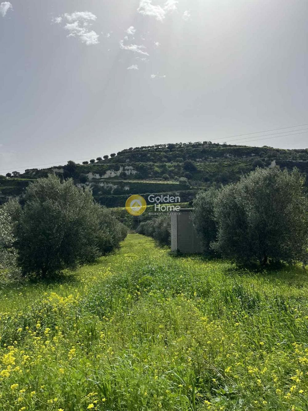 Οικόπεδο στην Κάτω Καλέσια, Τέμενος — Φωτογραφία 5 από 11