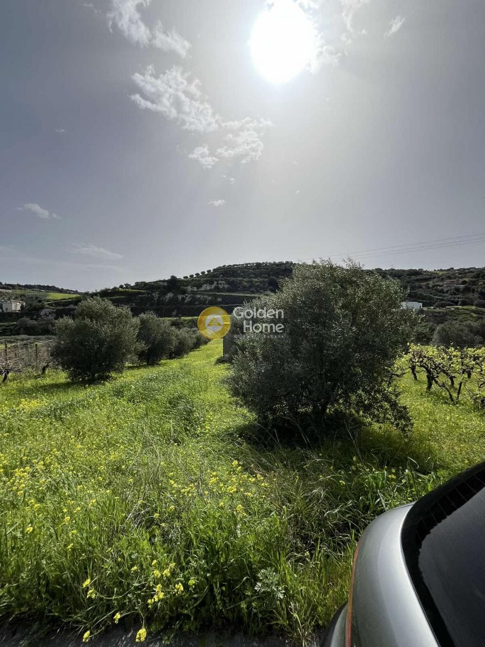 Οικόπεδο στην Κάτω Καλέσια, Τέμενος — Φωτογραφία 4 από 11