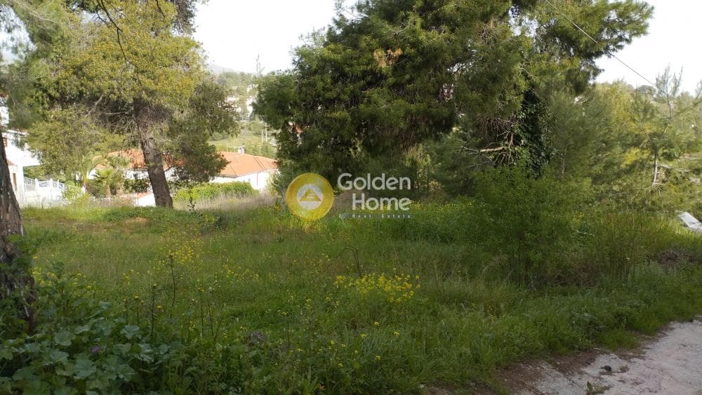 Οικόπεδο στην Αγιά Παρασκευή, Άγιος Στέφανος — Φωτογραφία 1 από 11