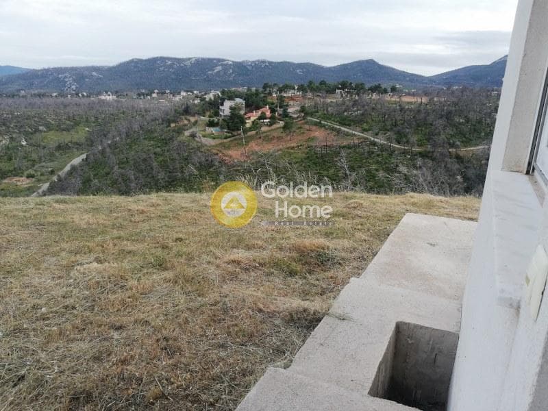 Μονοκατοικία στην Αγία Τριάδα, Αφίδνες — Φωτογραφία 30 από 44