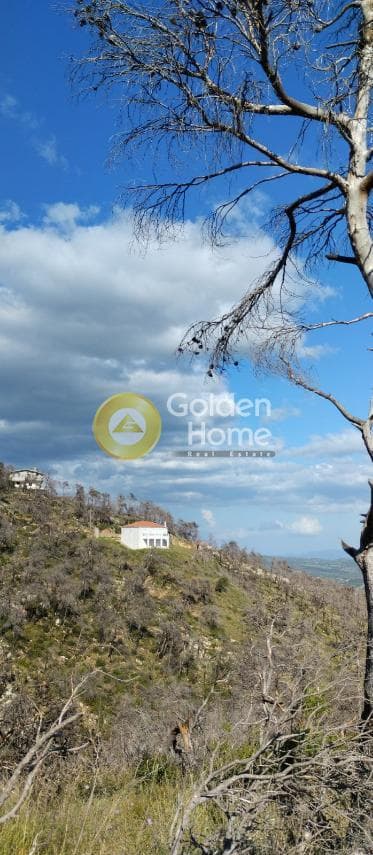 Μονοκατοικία στην Αγία Τριάδα, Αφίδνες — Φωτογραφία 43 από 44