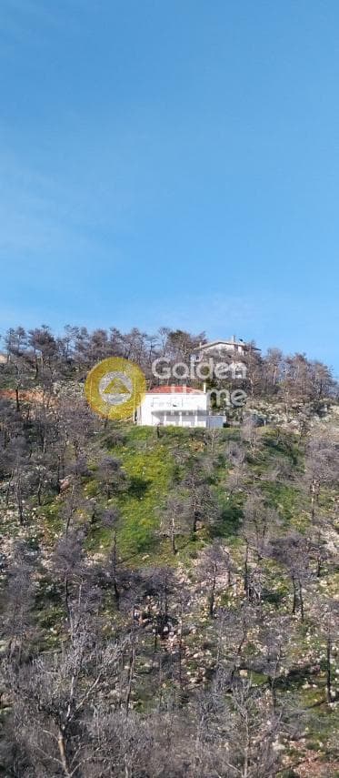 Μονοκατοικία στην Αγία Τριάδα, Αφίδνες — Φωτογραφία 44 από 44