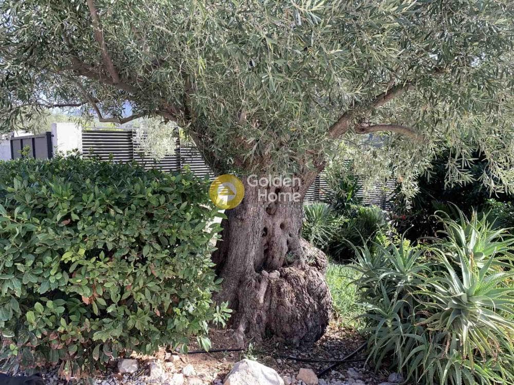 House in Perachora, Loutraki-Perachora — Photo 9 of 28