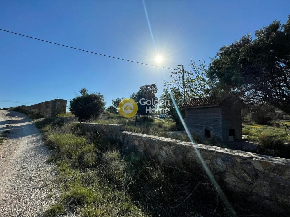 Αγροτεμάχιο στην Λαμπρικά, Κορωπί — Φωτογραφία 5 από 6