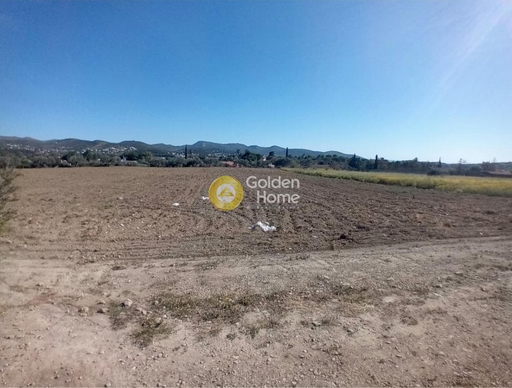 Building Plot in Ari, Anavissos — Photo 24 of 27