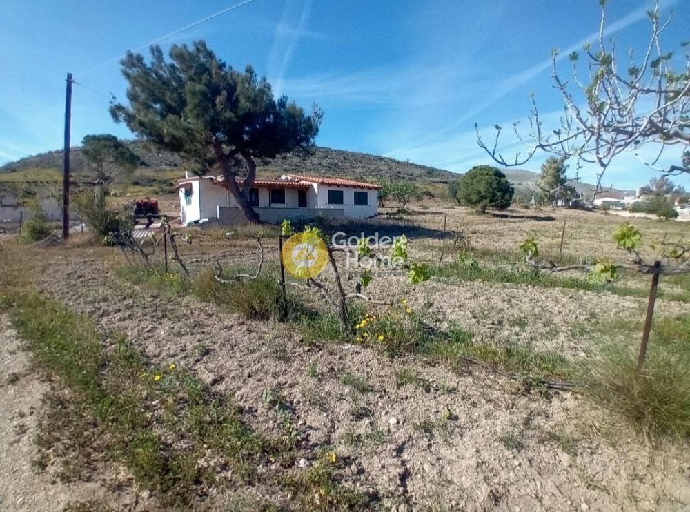 Building Plot in Ari, Anavissos — Photo 2 of 27