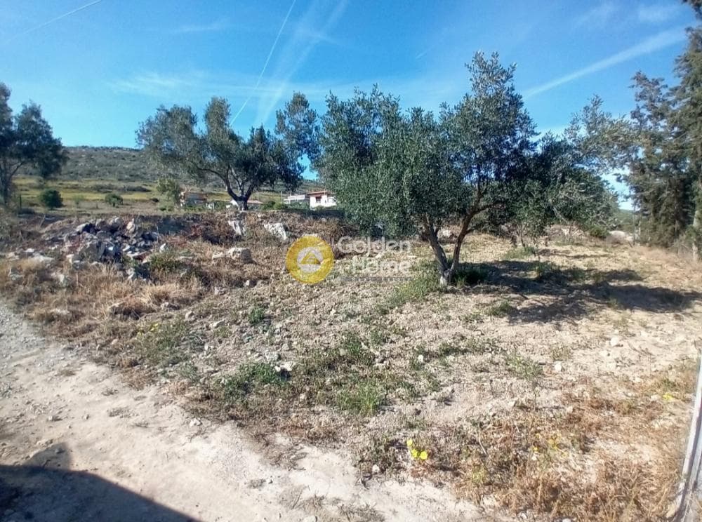 Building Plot in Ari, Anavissos — Photo 26 of 27