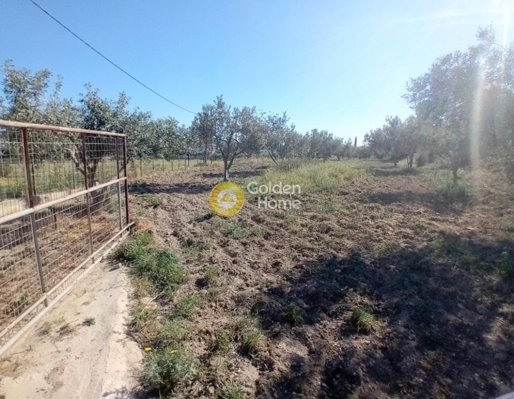 Building Plot in Ari, Anavissos — Photo 27 of 27