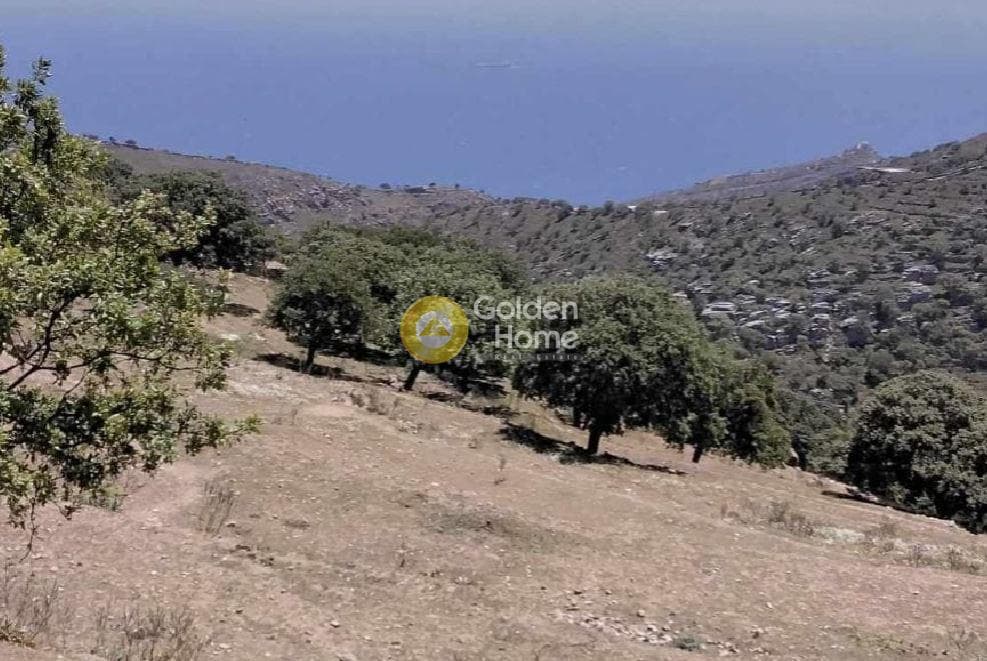 Parcel in Pera Meria, Kea — Photo 2 of 12
